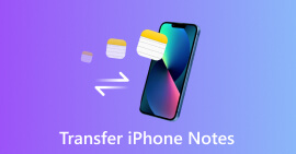 iPhone Notlarını Aktarın