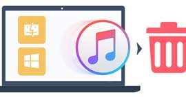 Полностью удалить iTunes и соответствующее программное обеспечение Apple
