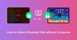 Unlock Disabled Ipad Without Computer