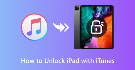 Unlock Ipad With Itunes