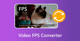 Video FPS Converter
