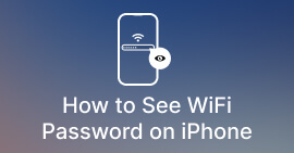 Visualizza password Wi-Fi