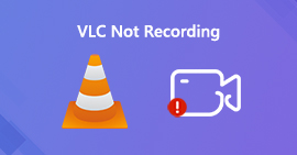 VLC가 녹화되지 않음