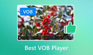 Hur man spelar VOB-filer med VOB Player