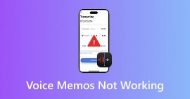 Voice Memos Not Working