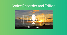 Voice Recorder en Editor