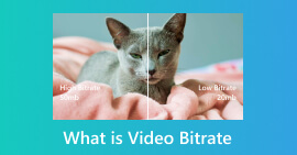 What is Video Bitrate