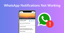 Notifiche WhatsApp non funzionanti