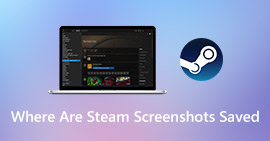 Steam-skjermbildemappe