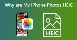 為什麼我的 iPhone 照片是 HEIC