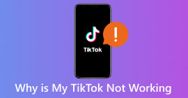 Varför fungerar inte min TikTok