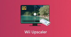 Wii Upscaler