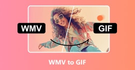 WMV naar GIF