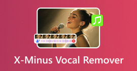 X Minus Vocal Remover