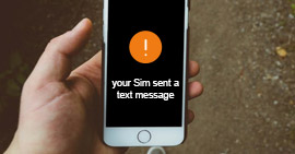 SIM에서 문자 메시지를 보냈습니다.