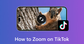 Zoom su TikTok