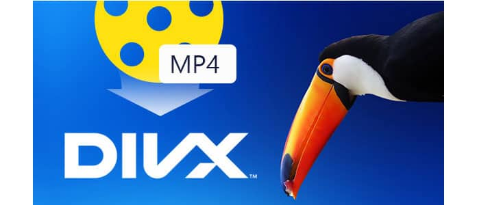 MP4 naar Divx