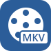 MKV转换器