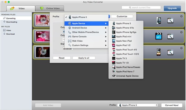 Enhver video Converter