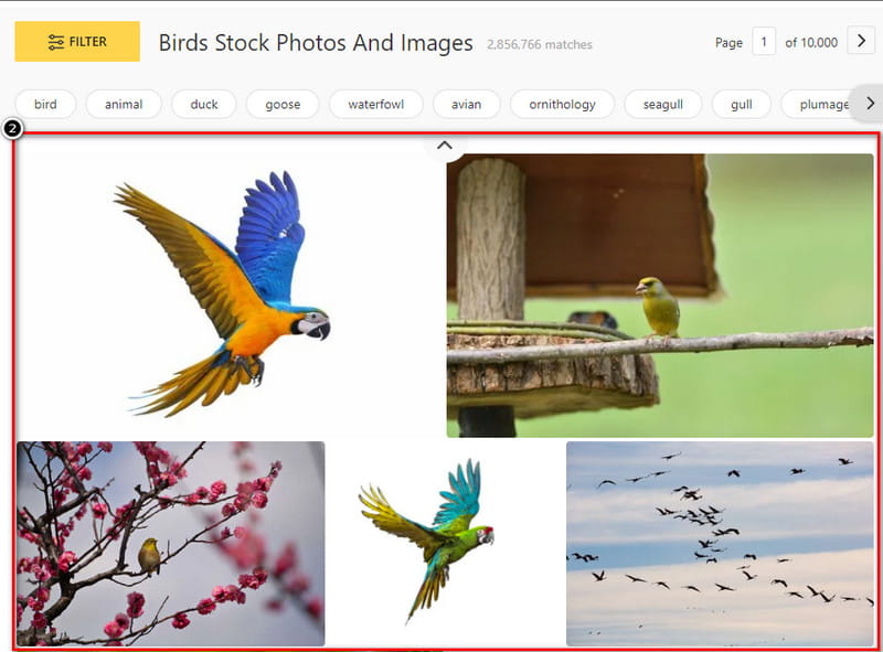 Chose Image on Result