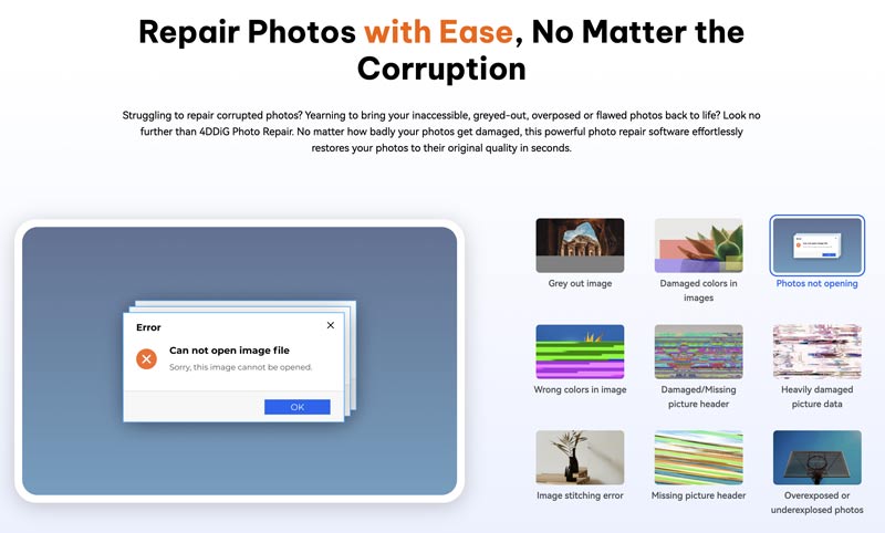4ddig Photo Repair Corruption Issues