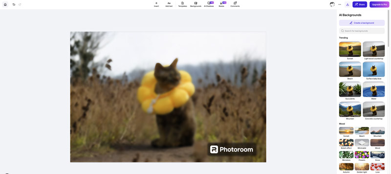 Utilizza gli sfondi AI di Photoroom