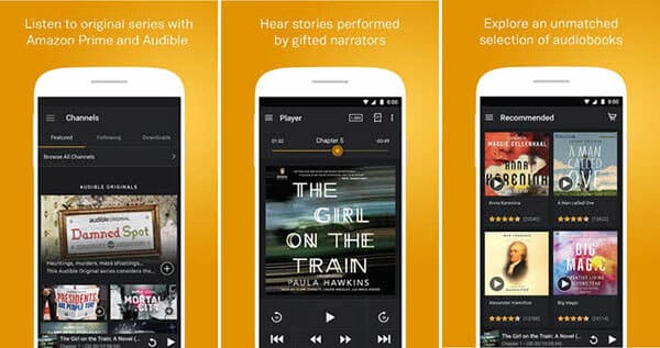 Audible Audiobook Player