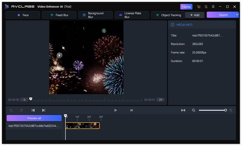 Avclabs Video Blur AI Model