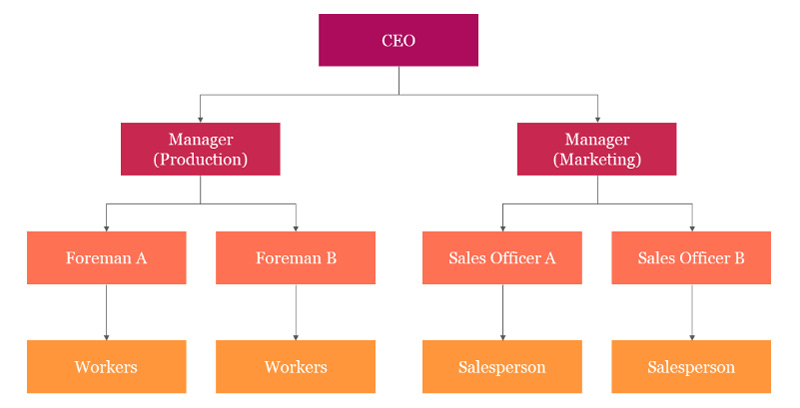 Organizational Chart Structure