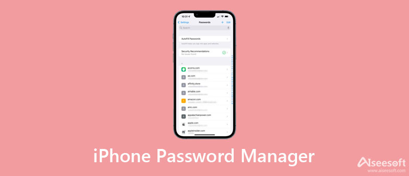 Gestore password iPhone