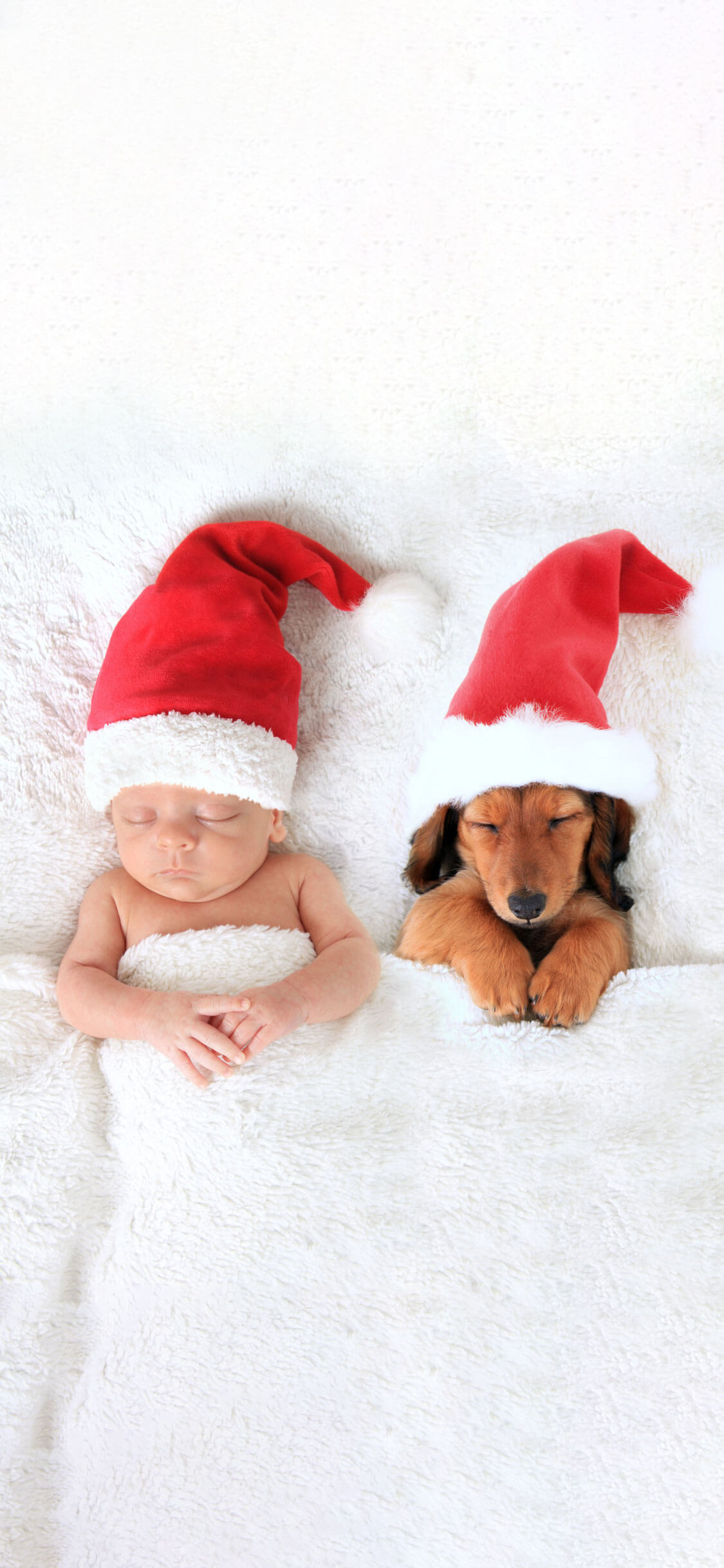 Cane E Bambino Bianchi