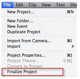Finalize Project