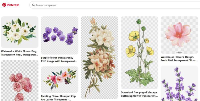 Διαφανές φόντο λουλουδιών Pinterest