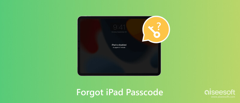 Vergeet de iPad-toegangscode