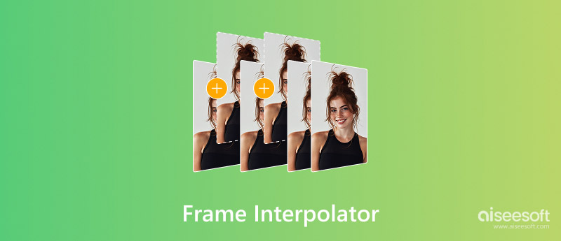 Frame Interpolator