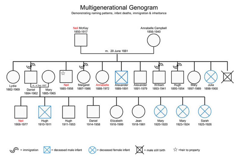Co je genogram