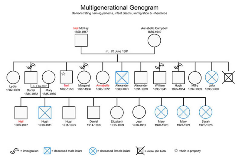 Co to jest genogram