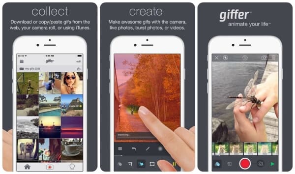 Top 3 Apps de GIF para iPhone