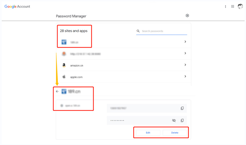 Usa Password Manager Controlla le password