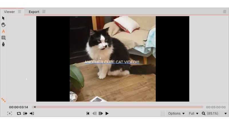 Viewer Insert Text HitFilm