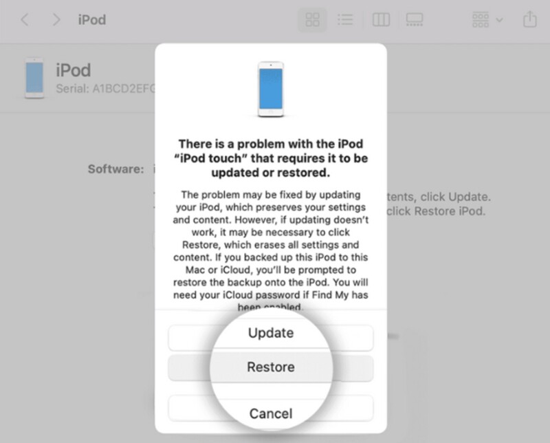 Restore In Recovery Mode