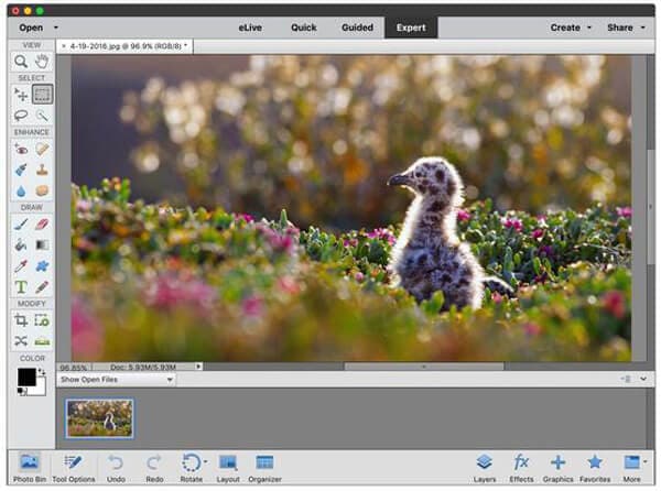 Adobe Photoshop Elements 14