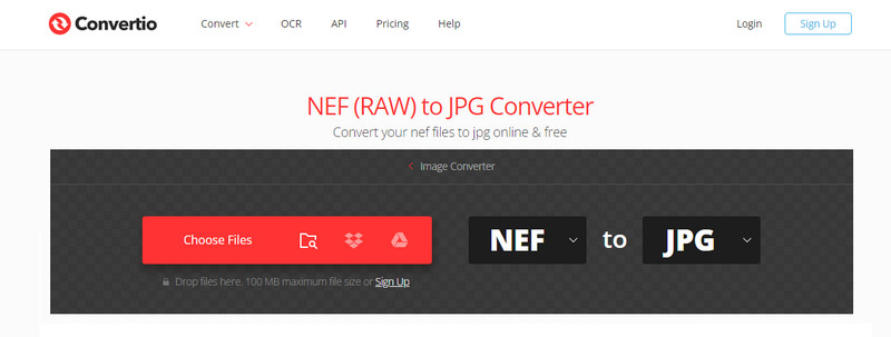 Conversione NEF in JPG