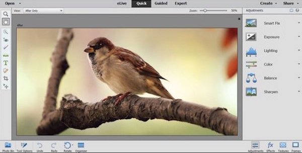 Adobe Photoshop Elements