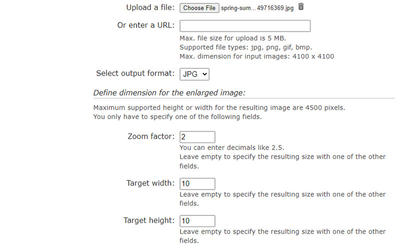 Image Enlarger Interface