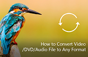 How to Convert Video/DVD/Audio File to Any Format