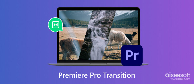 Transizione Premiere Pro