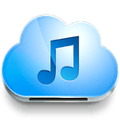 Music Paradise Pro