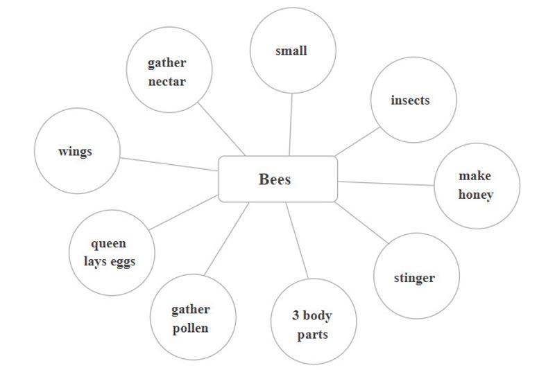 Significato della mappa semantica