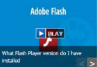 的Adobe Flash Player